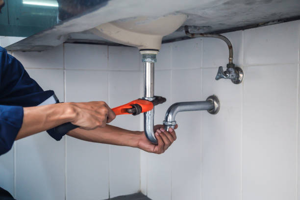 Best Affordable Plumbing Services  in Escobares, TX